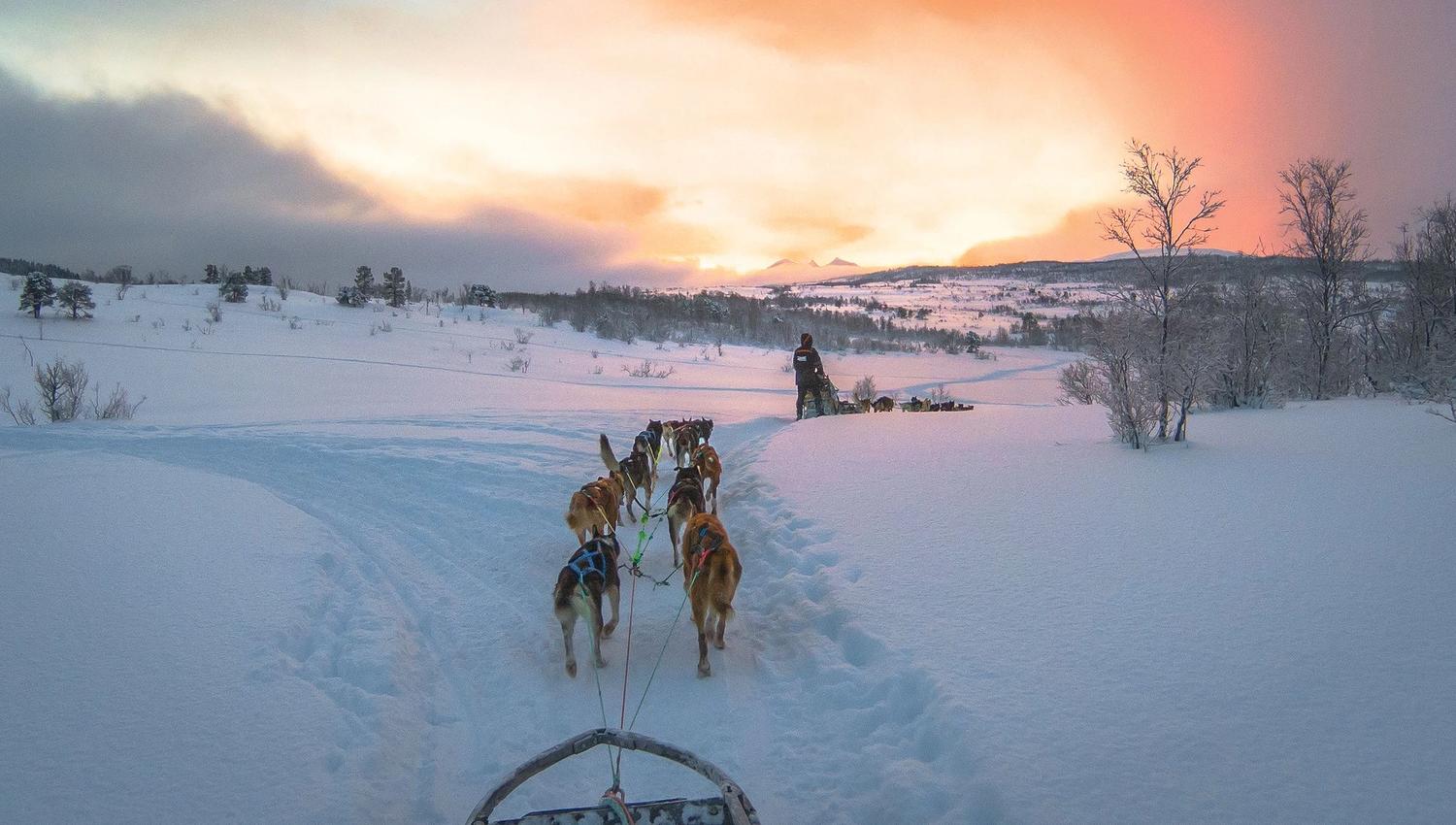 View from the sled, sunlight and clouds in the background