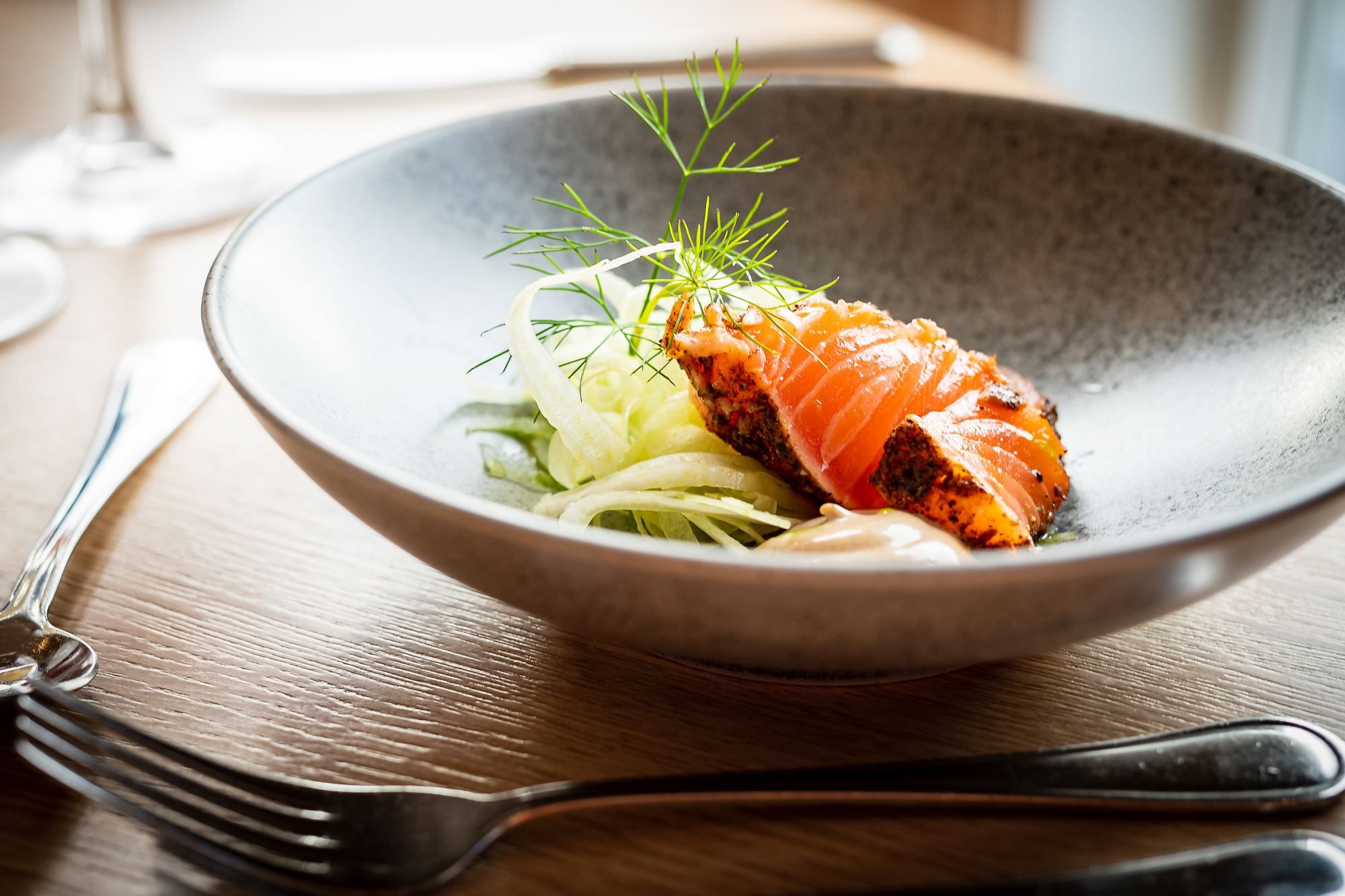 Salmon