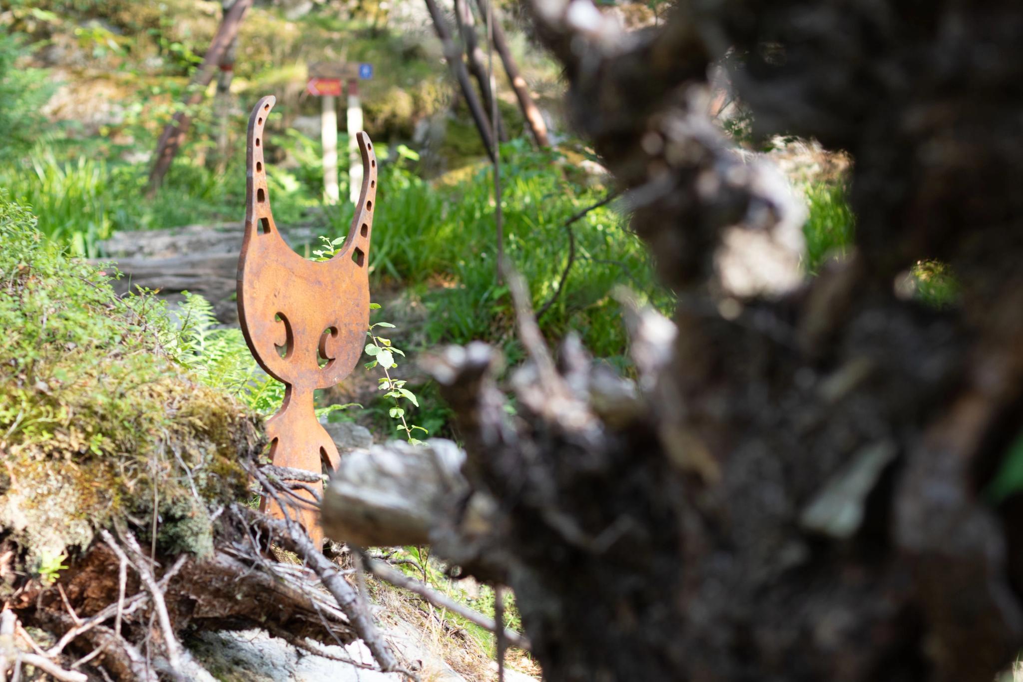 EvenTURskogen med guide