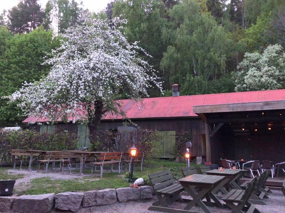 The outdoor area. Tables and benches, surrounded by forest.