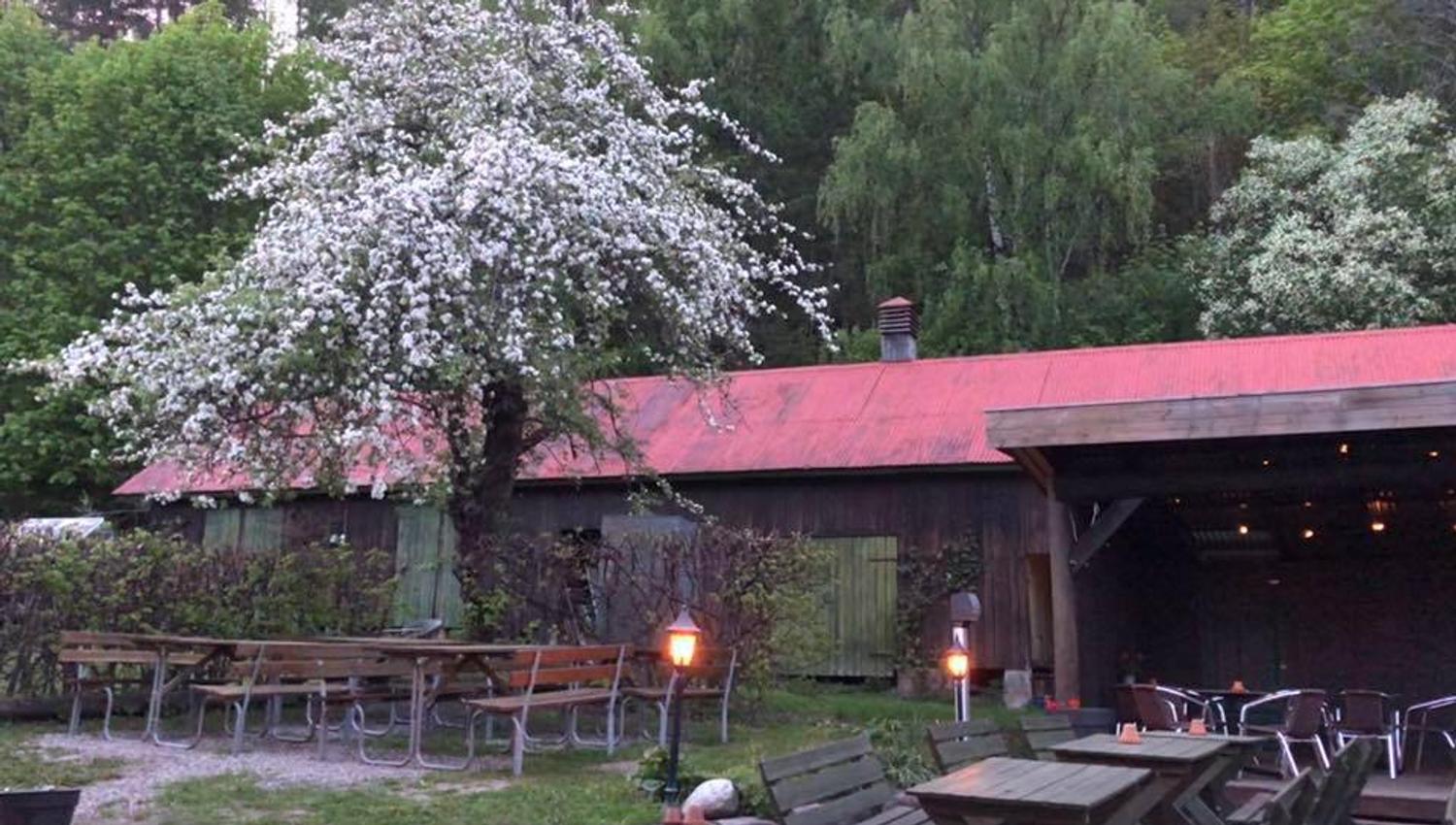 The outdoor area. Tables and benches, surrounded by forest.