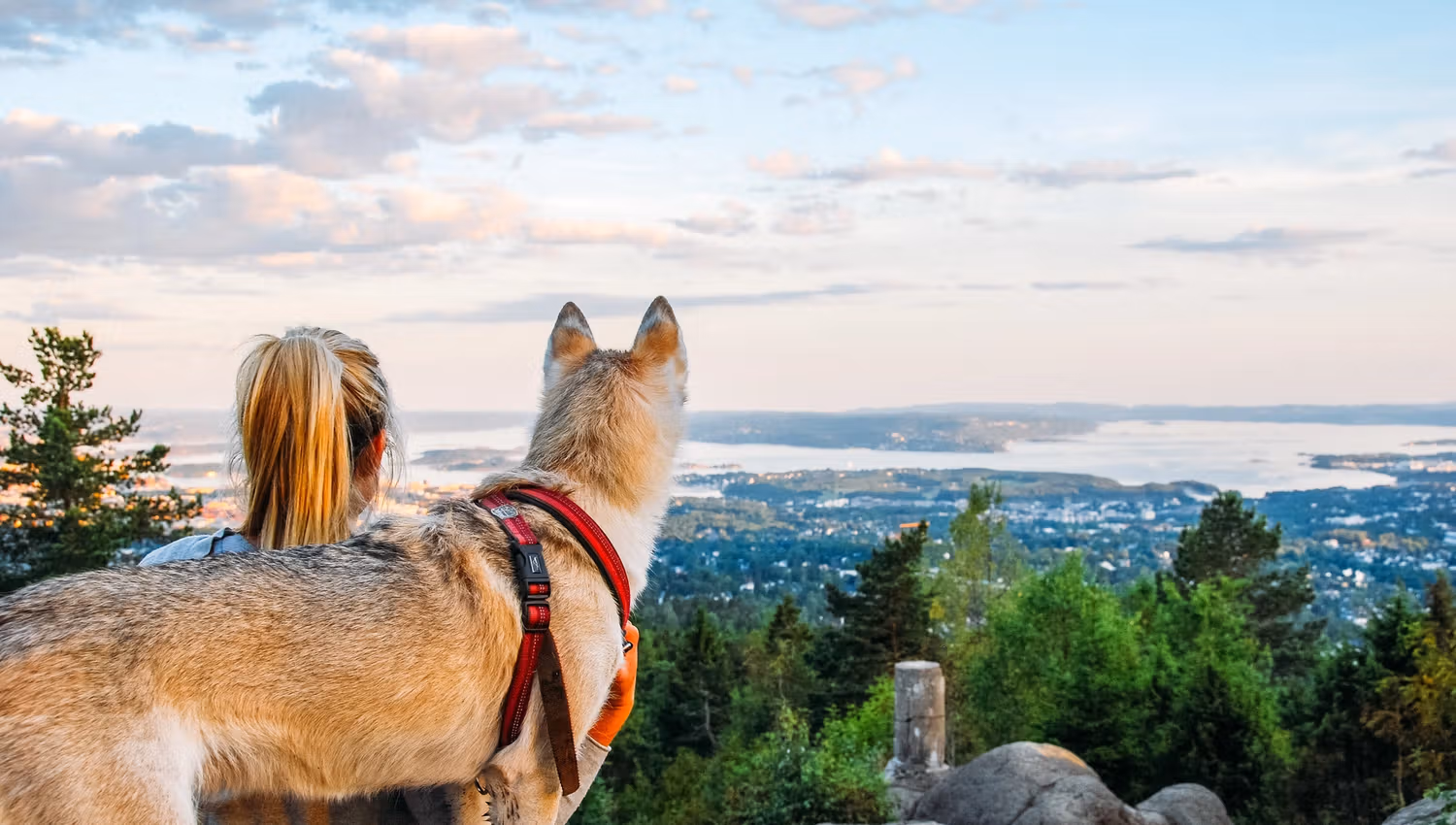 a dog and a woman enjoying the view from the top
