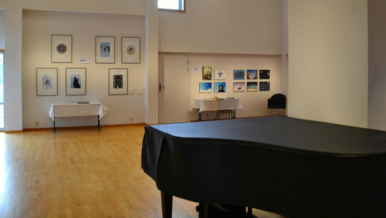 Skiftene utstilling i Galleri Syningen.
