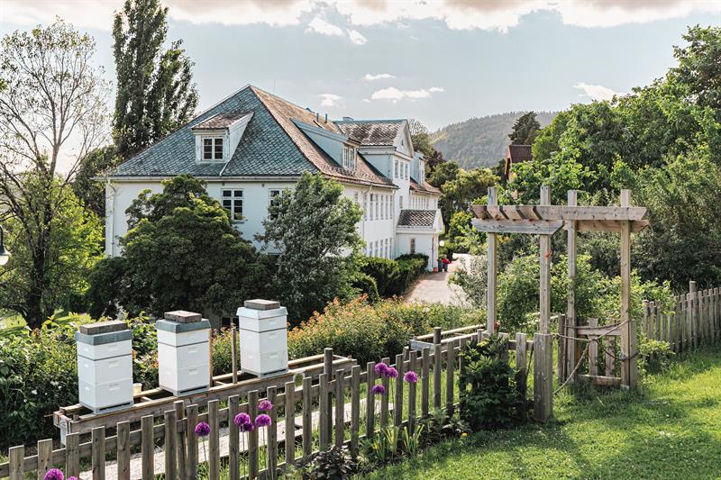 Bee hives and building in the back