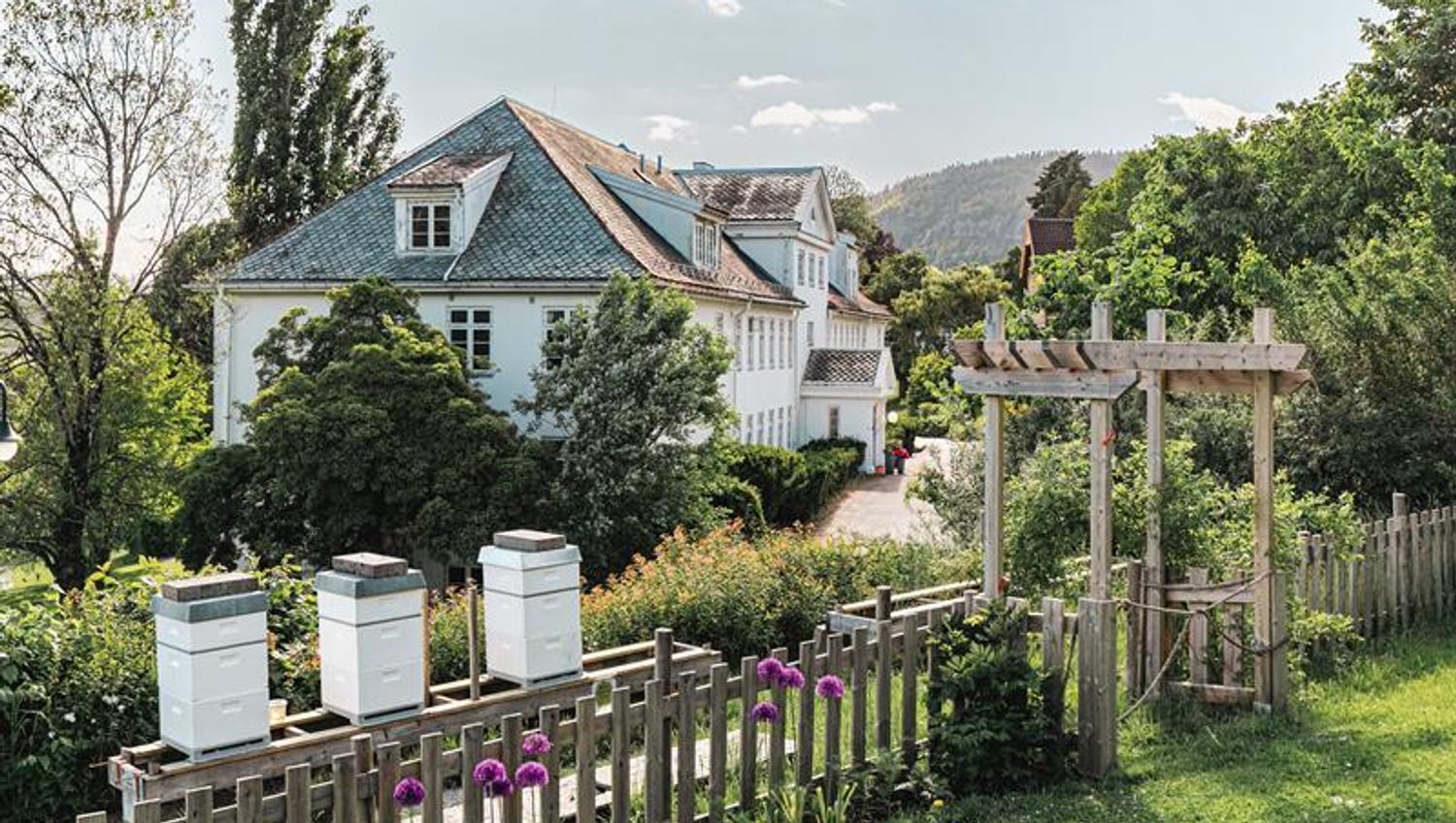Bee hives and building in the back