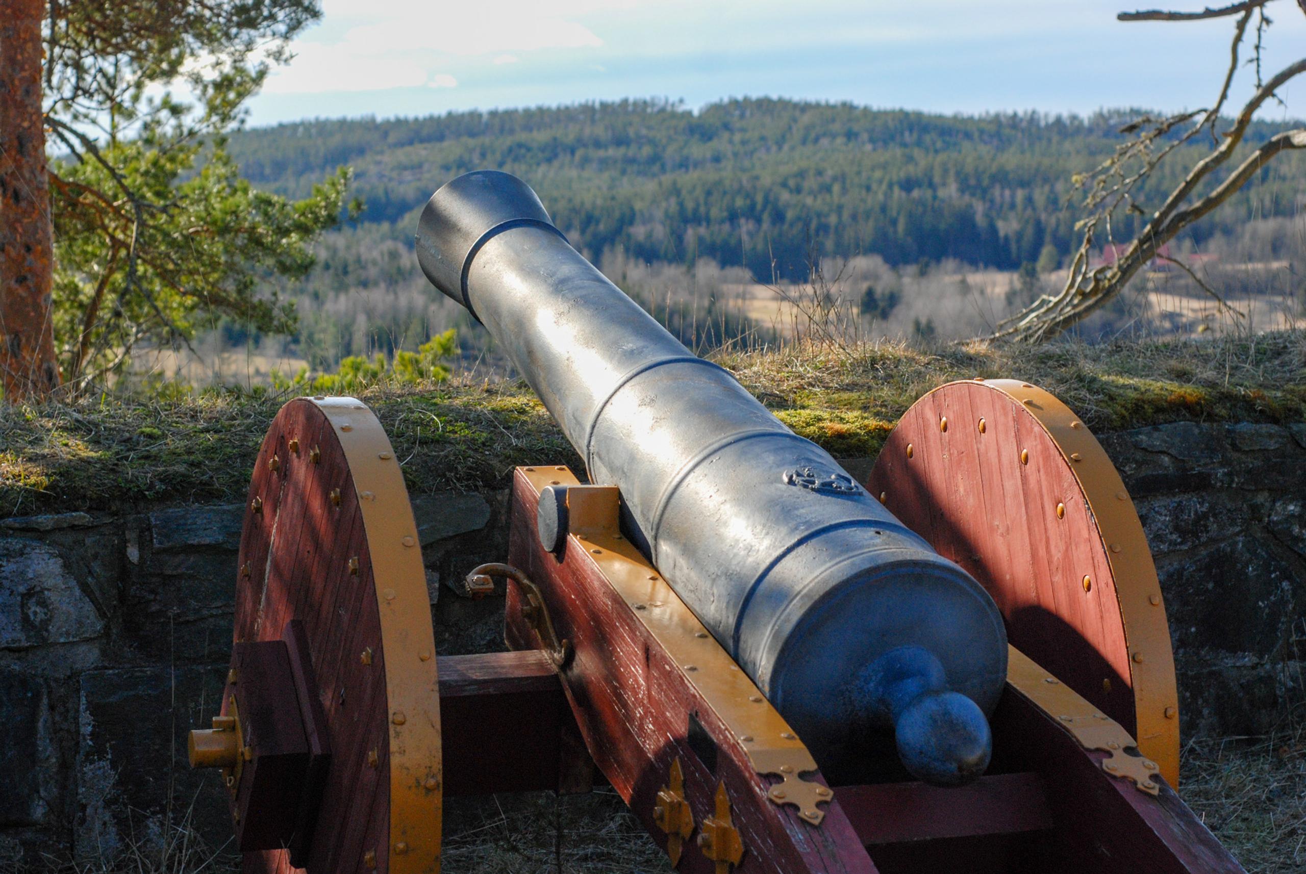 cannon