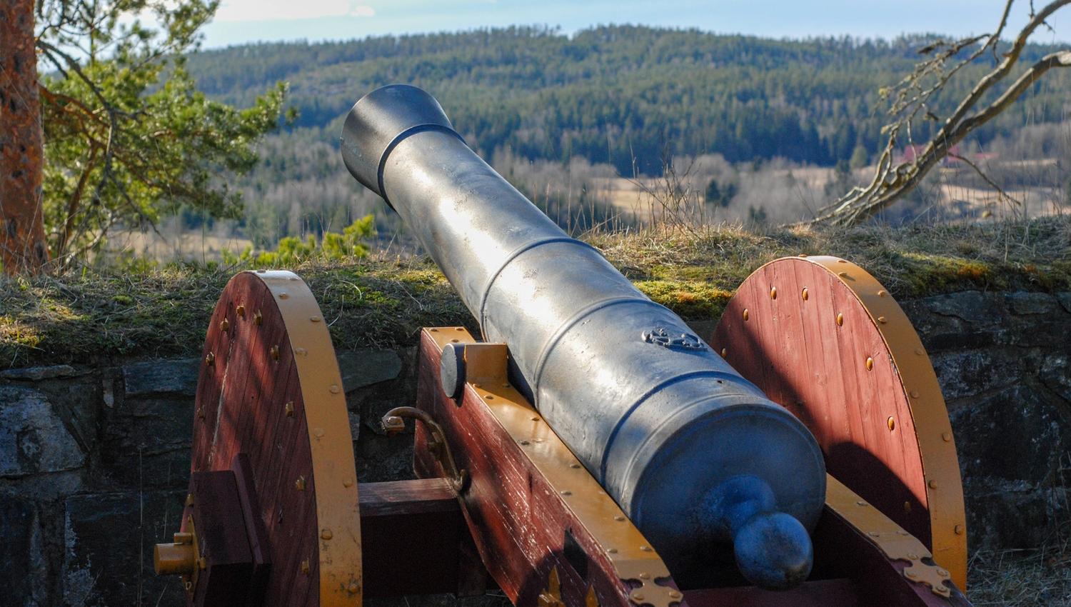 cannon