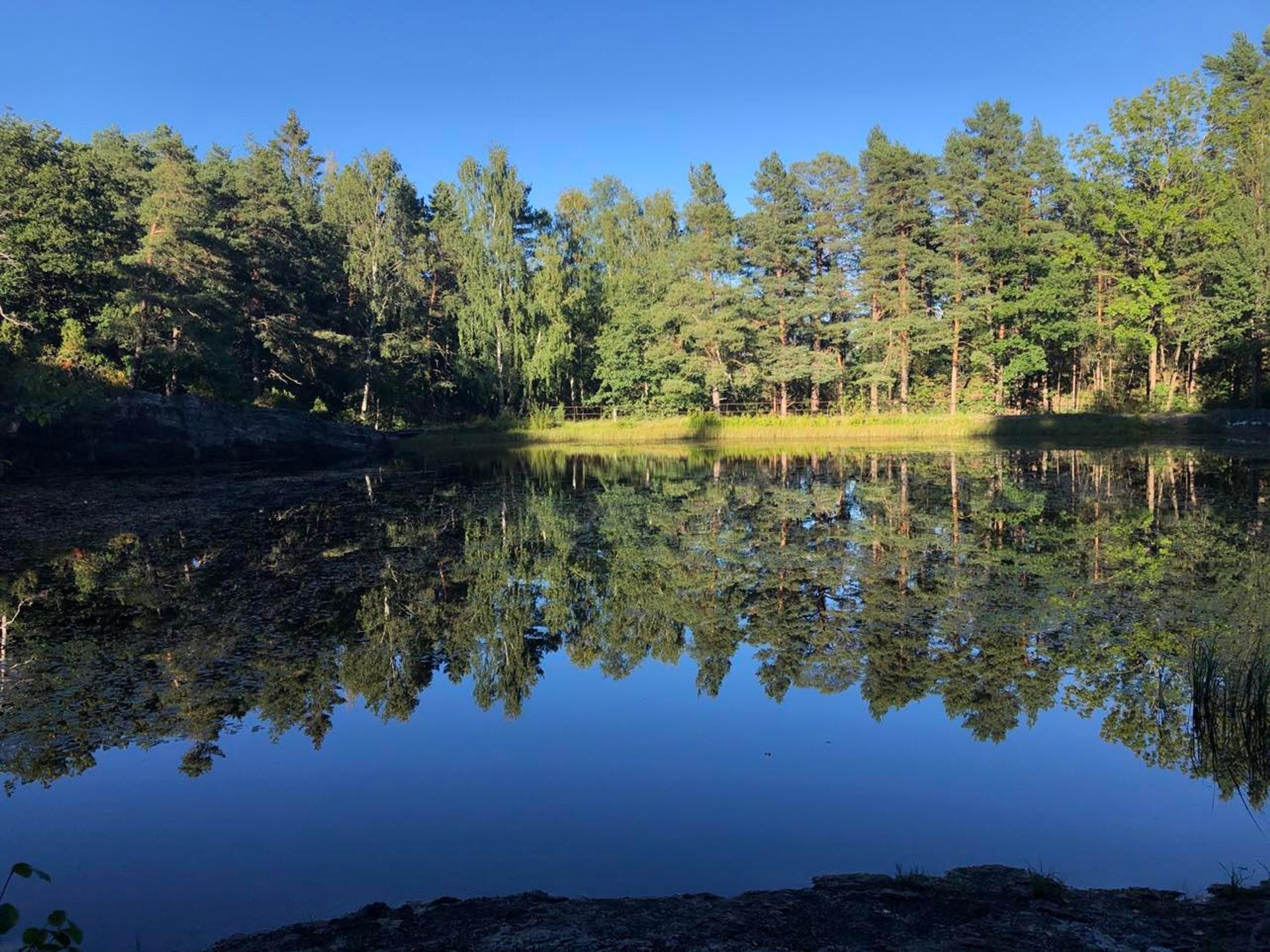 Dammane i Brevik