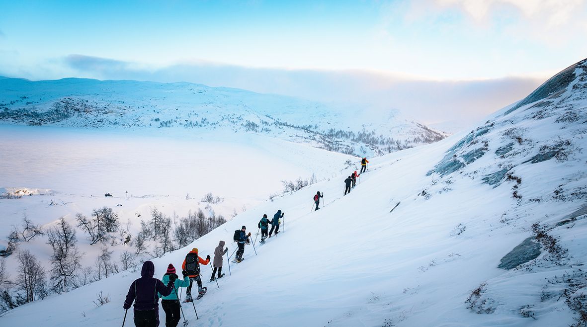 Snowshoe group trekking along majestic mountains in Hardanger.