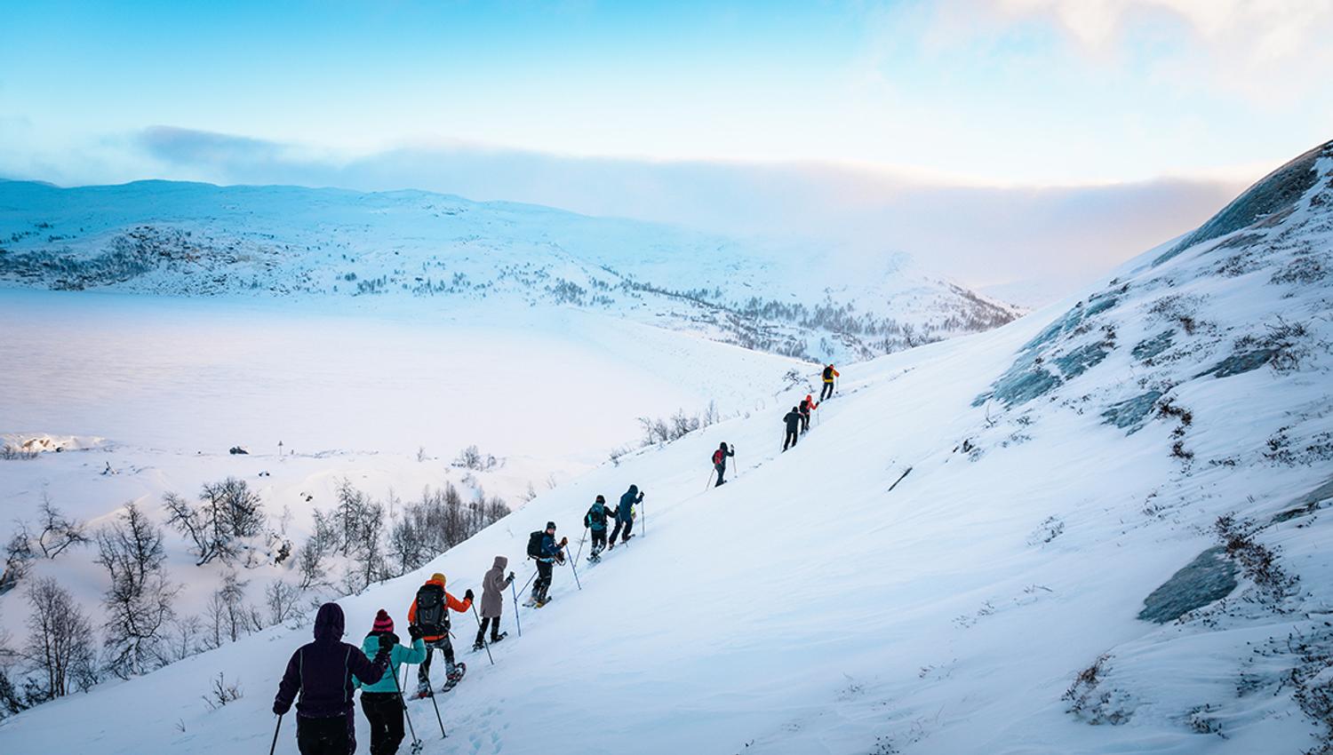Snowshoe group trekking along majestic mountains in Hardanger.