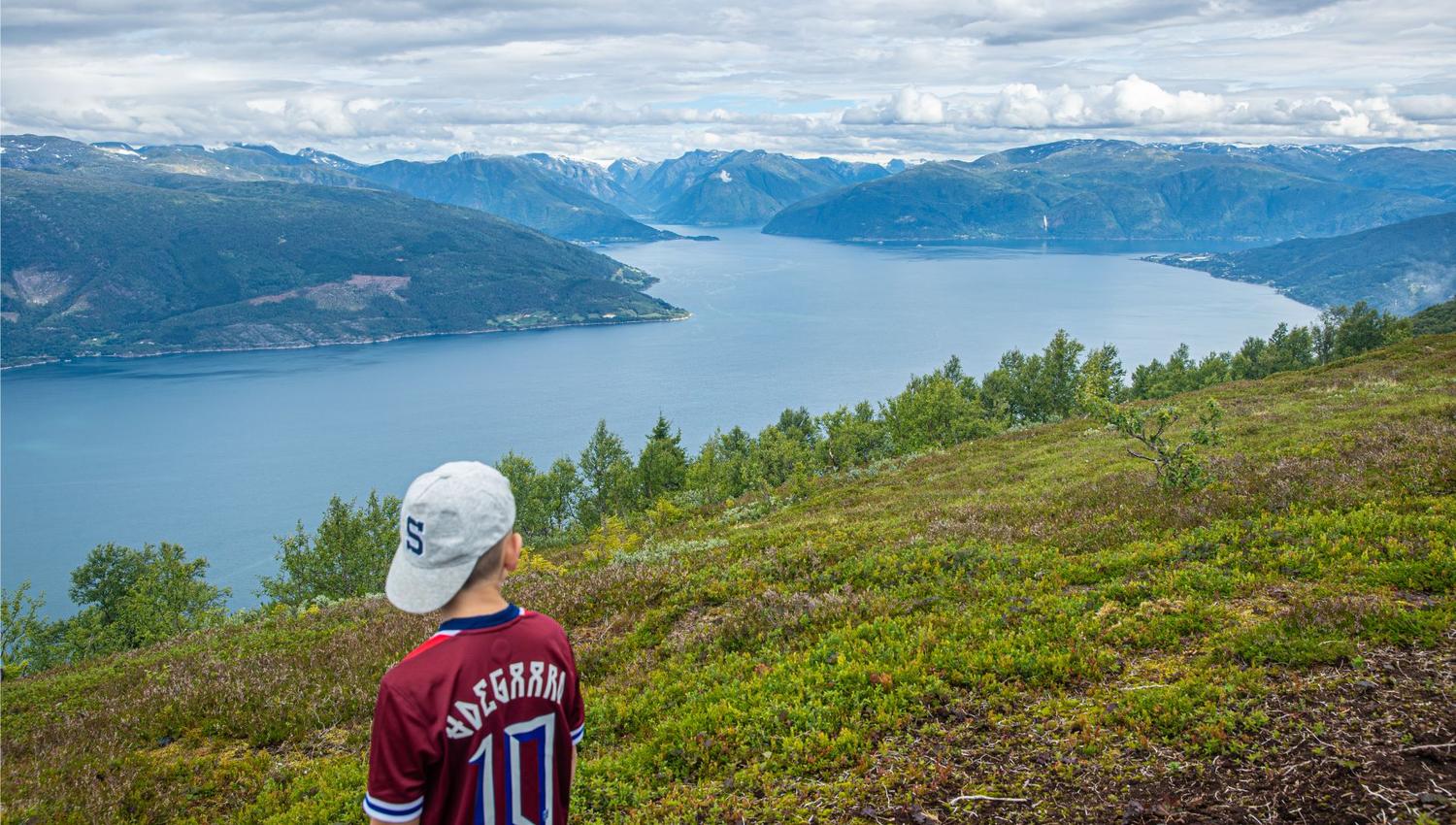 Hike to Synshovden, Vik