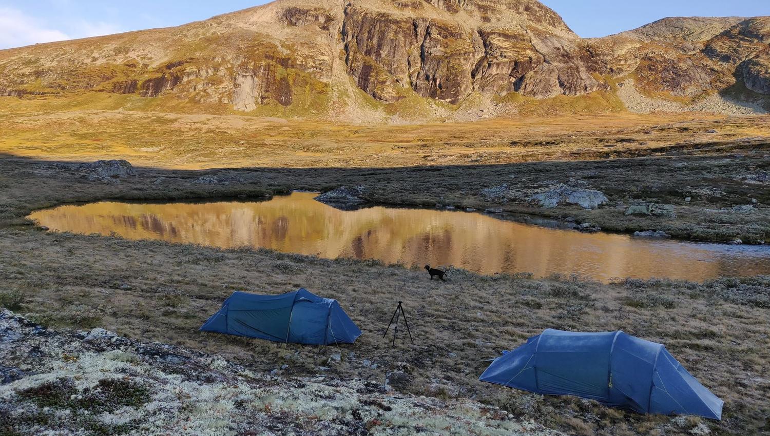 Musk Ox Safari Personal Tour, 2 days