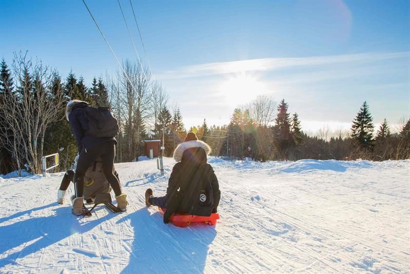 Three children on sleds.