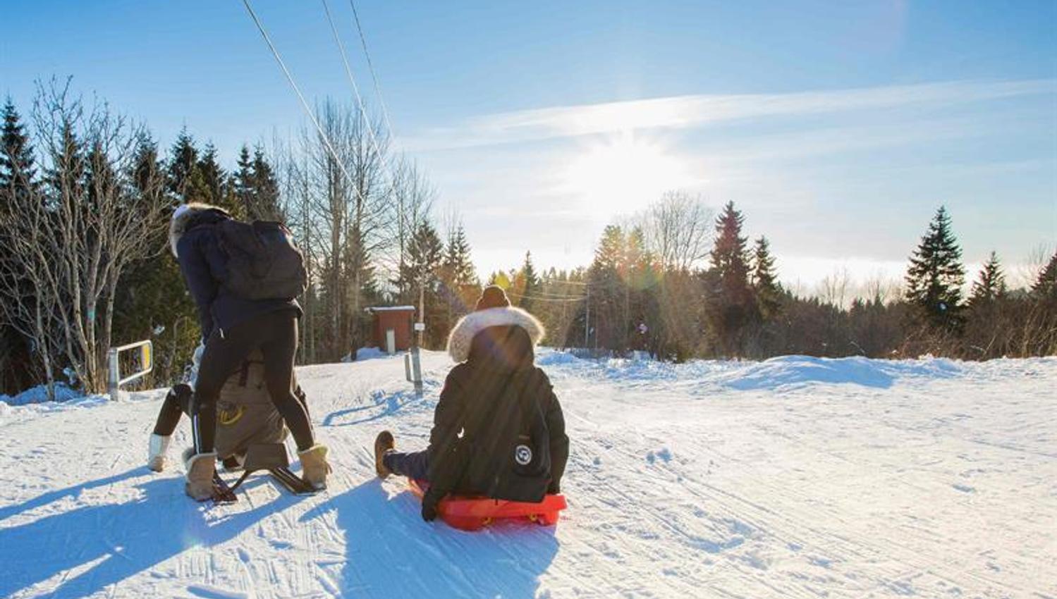 Three children on sleds.