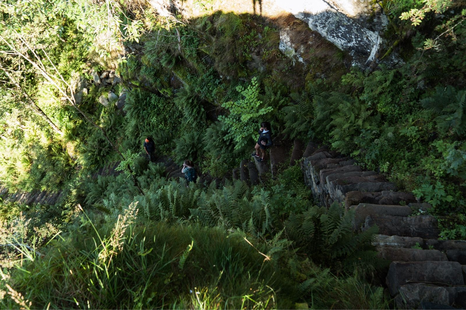 Hiking trail