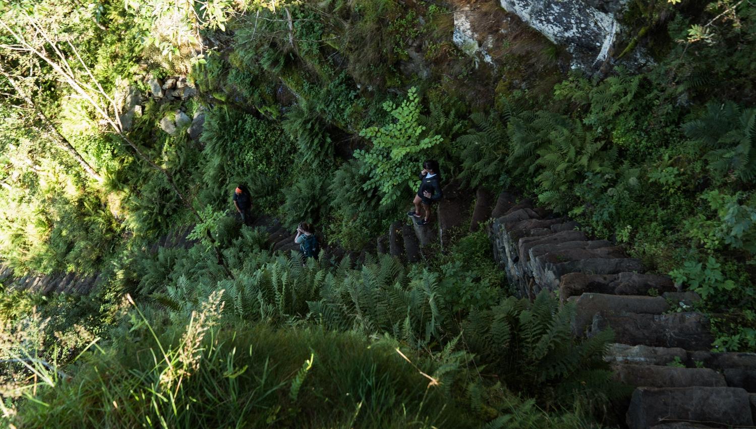 Hiking trail
