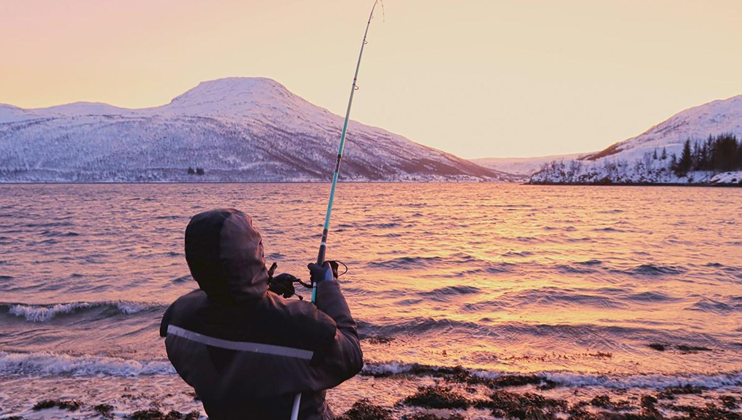 Person fishing from the shoreline