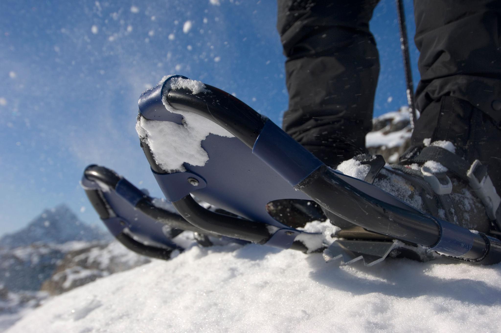 Snowshoe Explorer - guided showshoeing trips