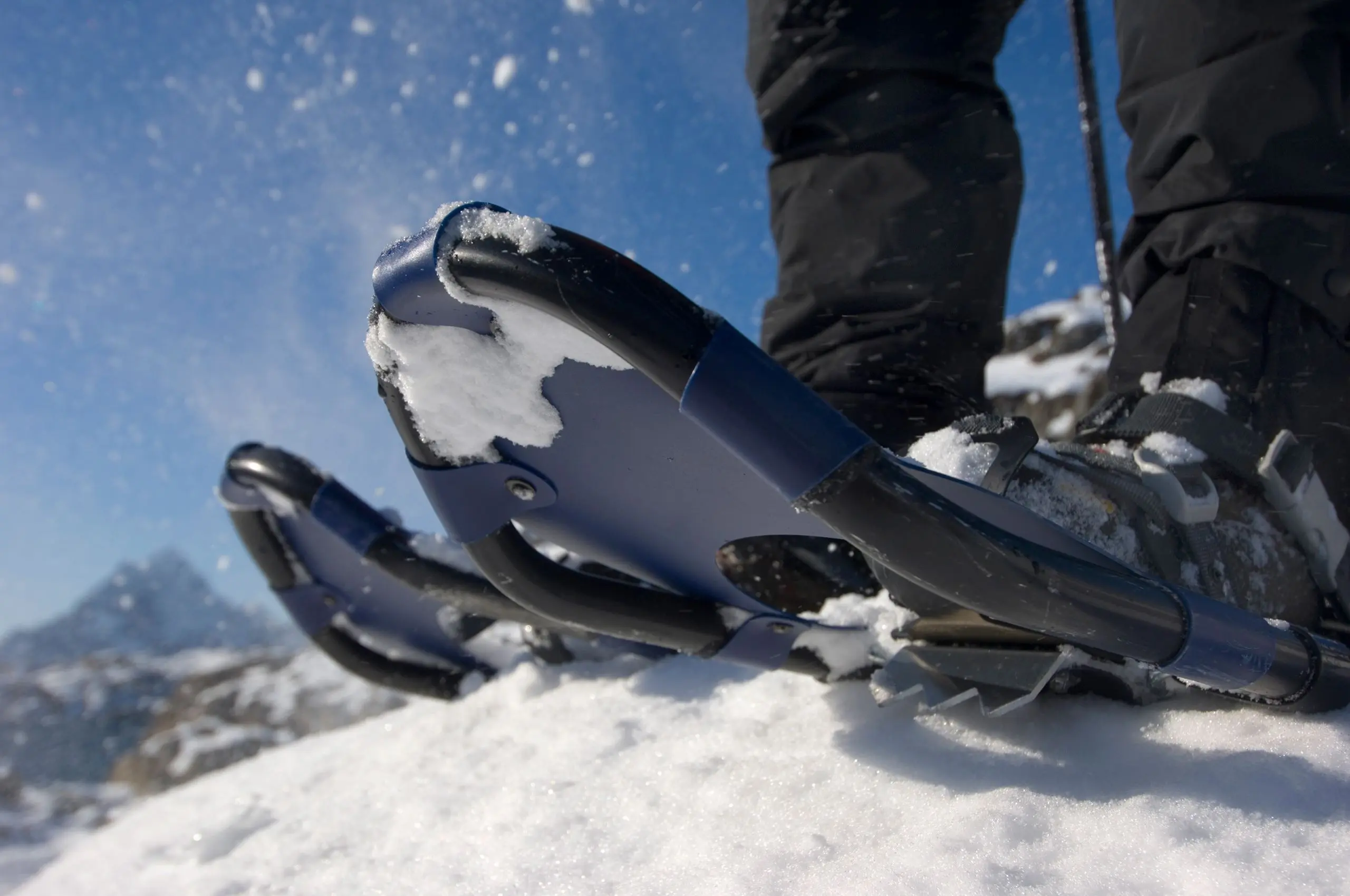 Snowshoe Explorer - guided showshoeing trips