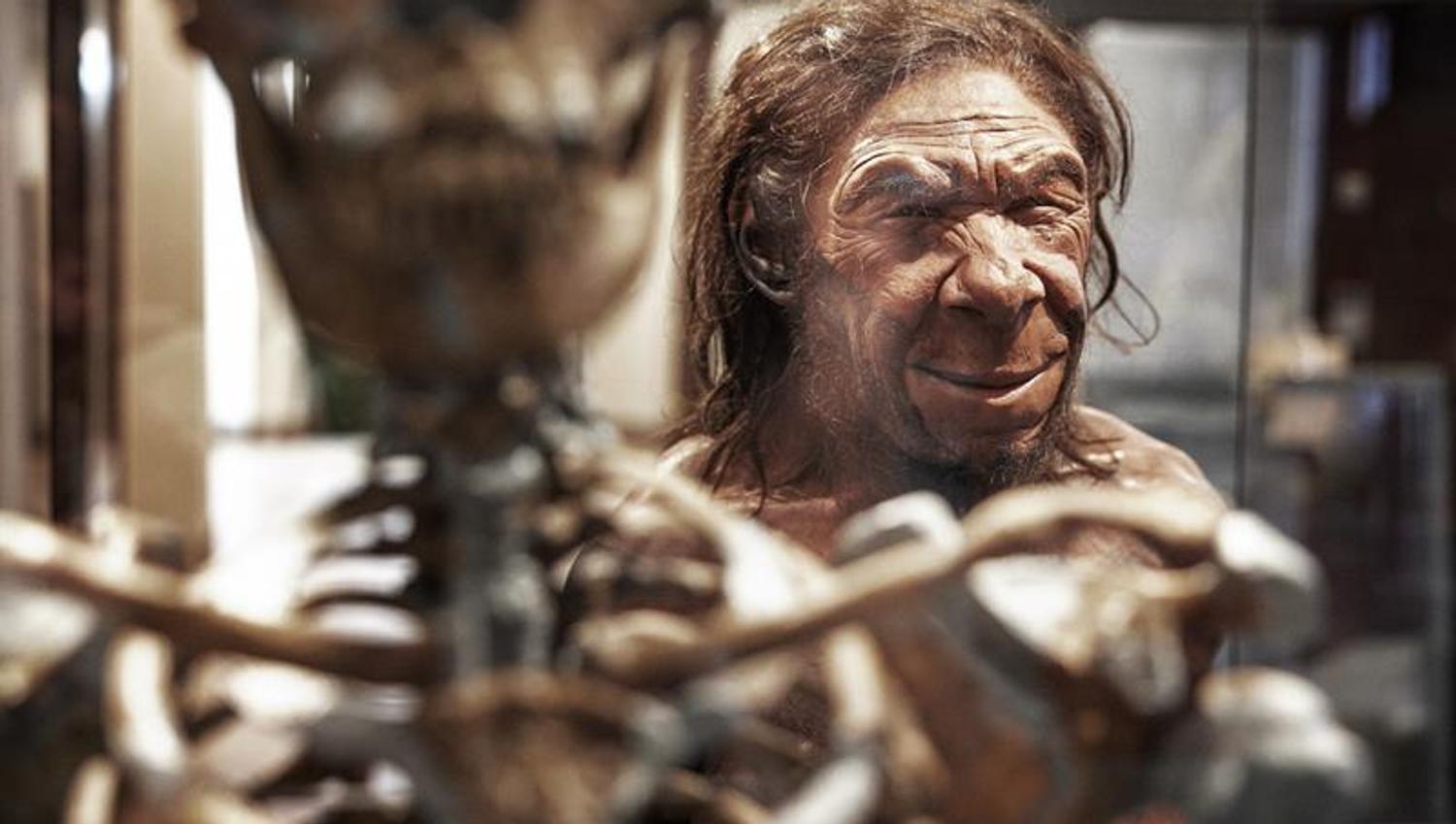 Neanderthal.