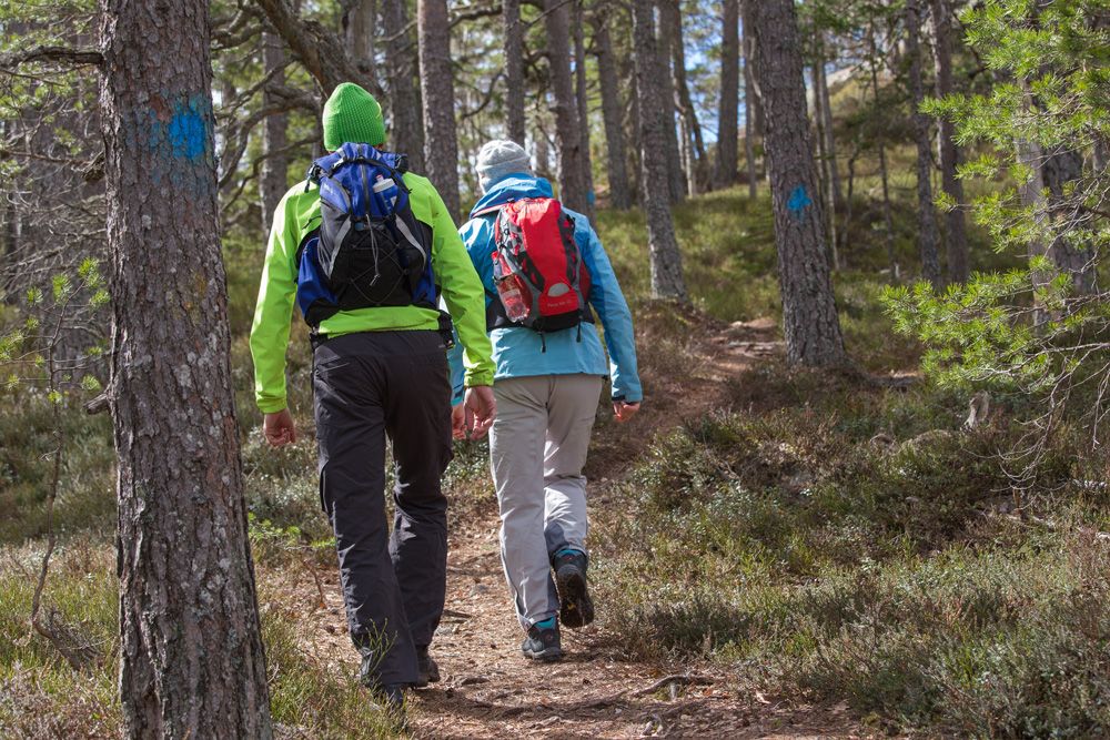 2 på vei til Skuggenatten