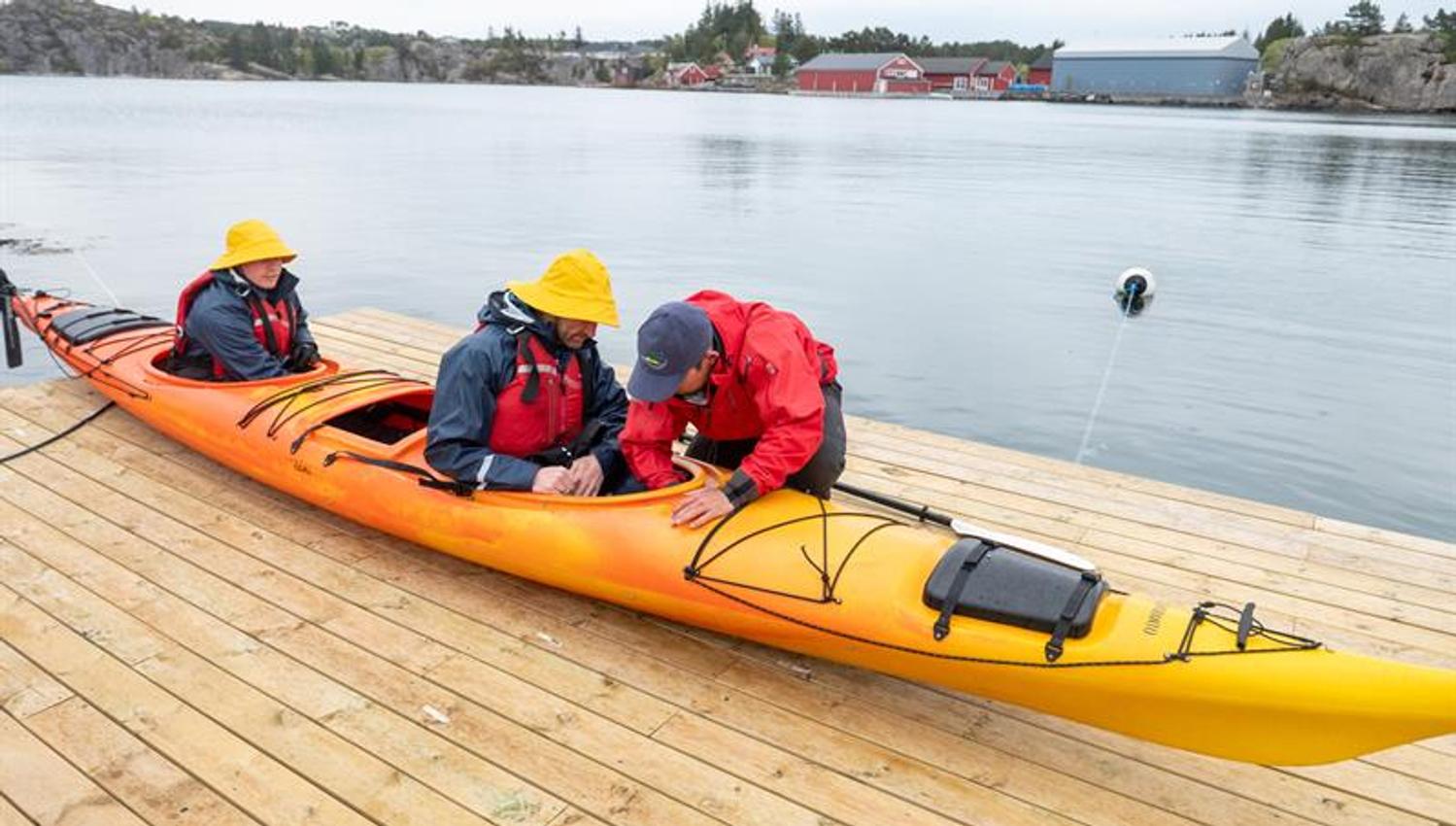 Guided kayak trip
