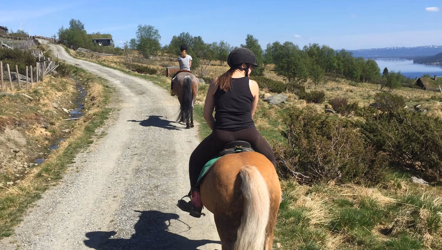 Ridetur, i fjellet tre hester