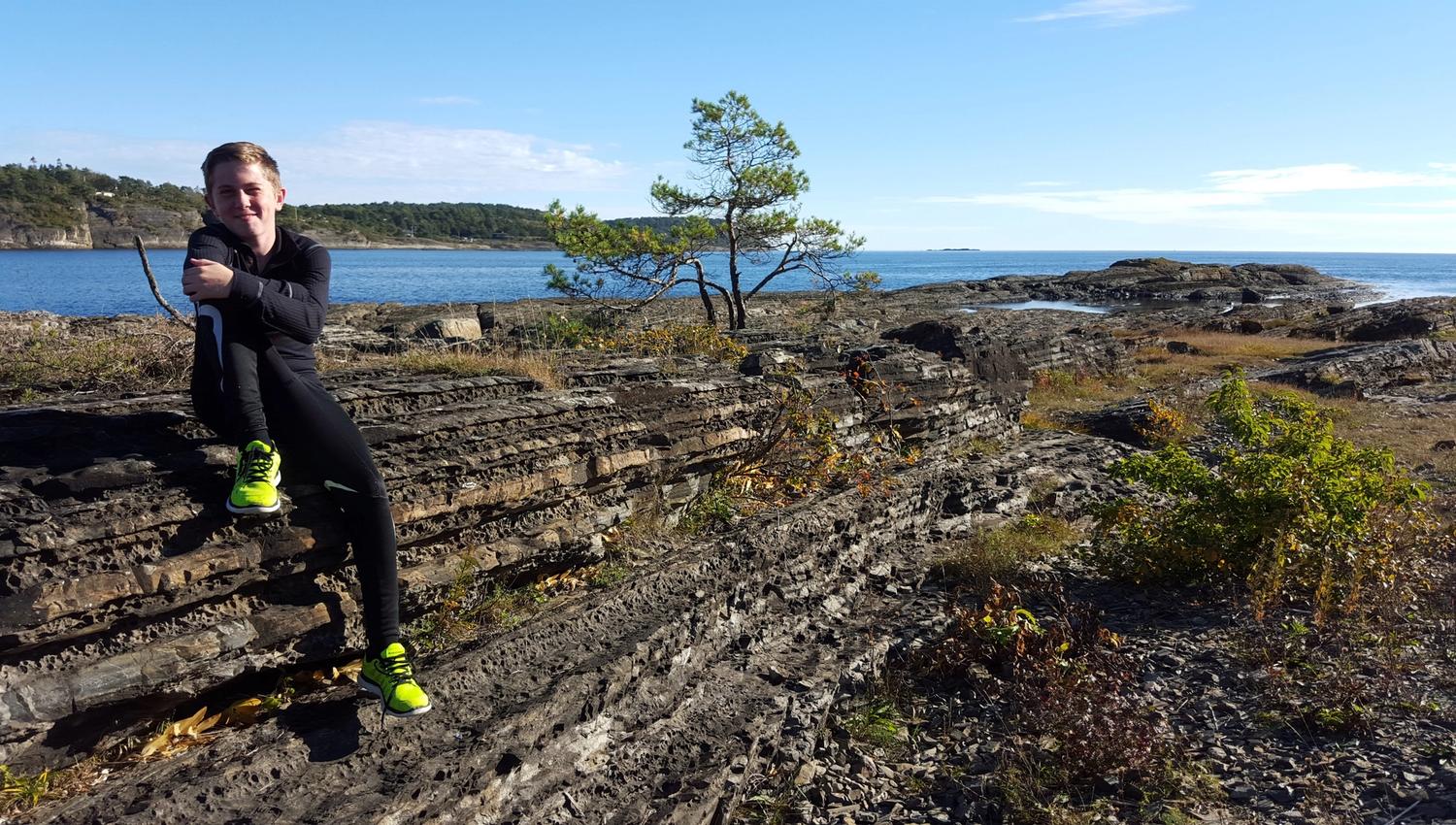 Jyplevika