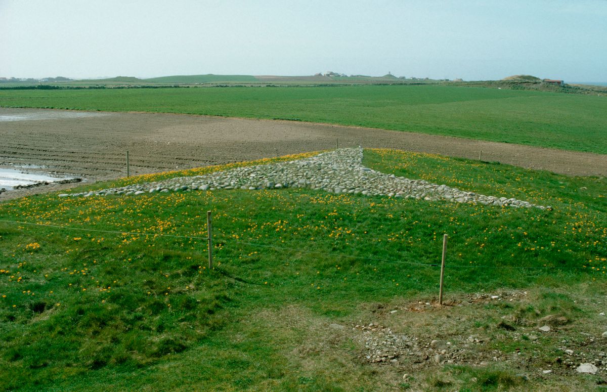 Steinstjerna