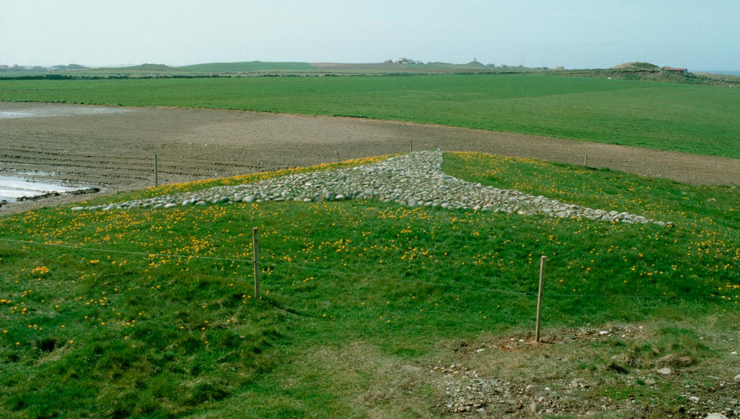 Steinstjerna