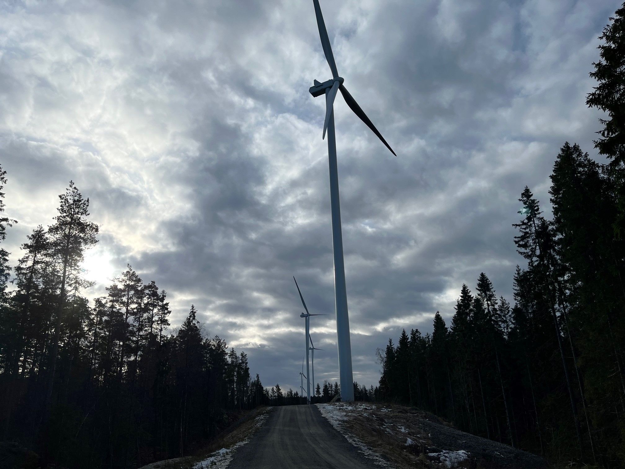 Vindmøller på rad og rekke. Du kan gå helt opp til vindmøllene, Her er det 7 på sørsiden av E18