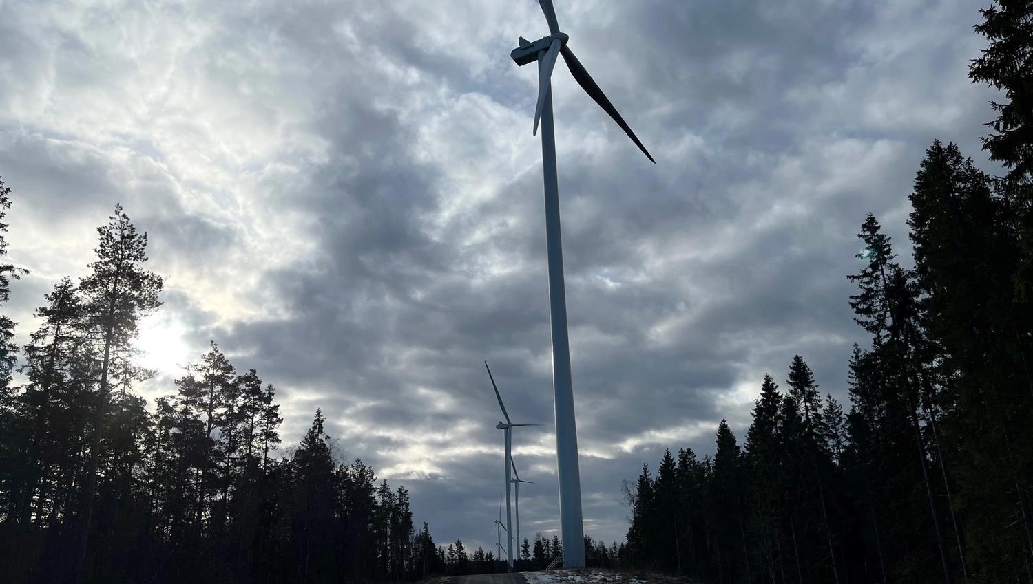 Vindmøller på rad og rekke. Du kan gå helt opp til vindmøllene, Her er det 7 på sørsiden av E18