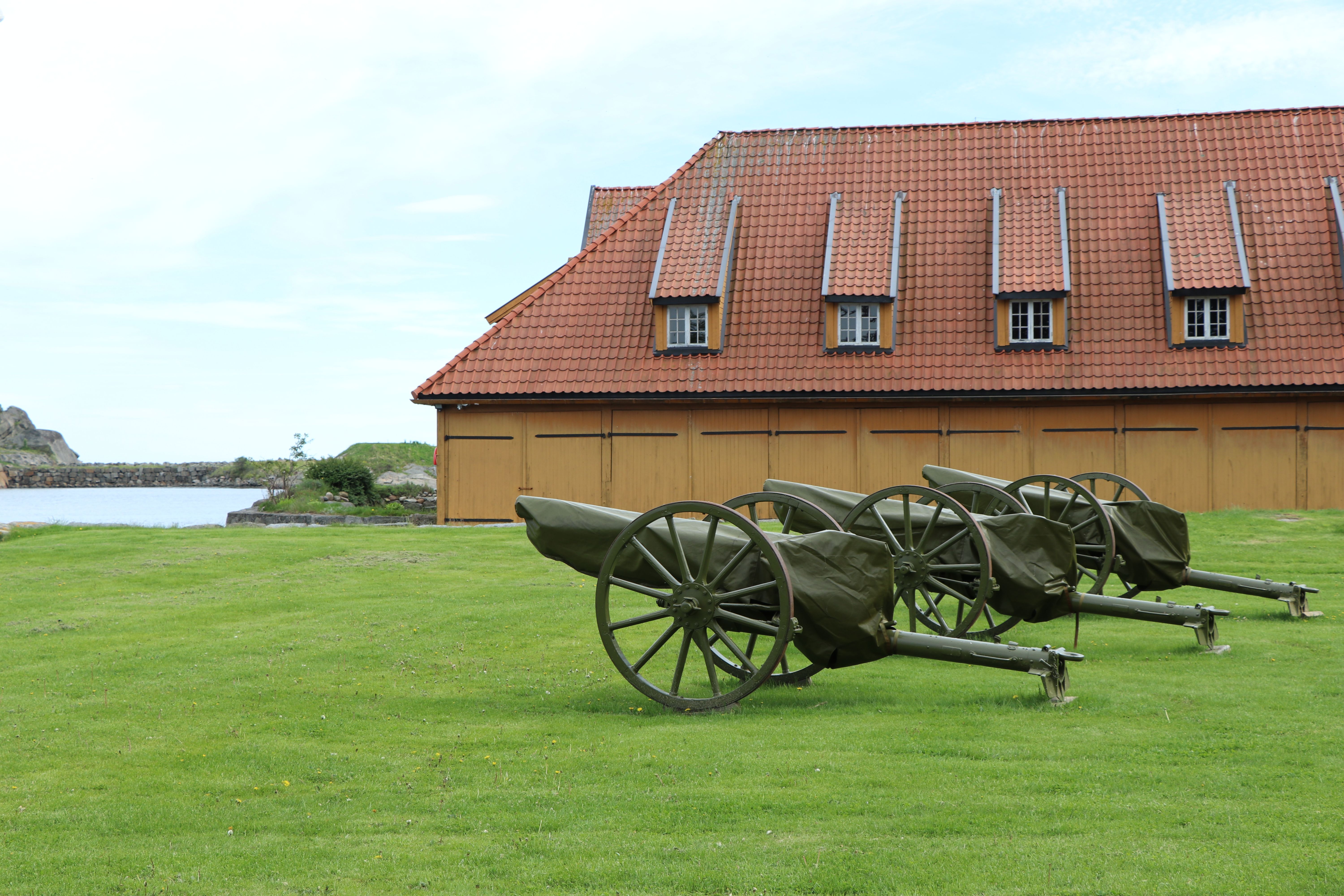 Cannons