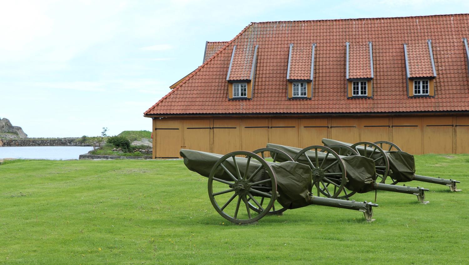 Cannons
