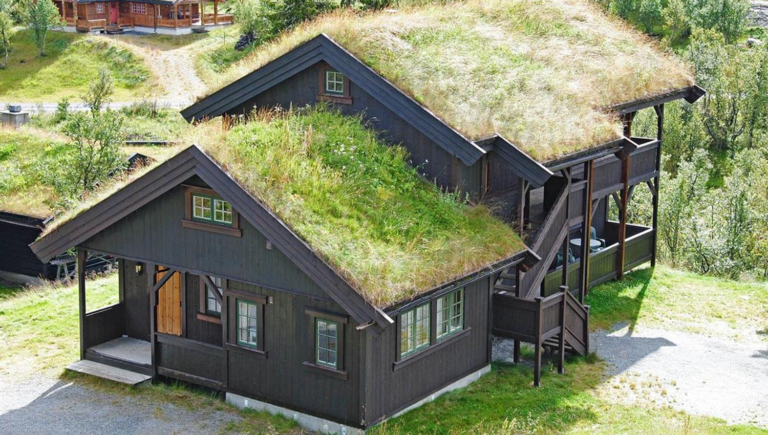 Koselig hytte med gresstak