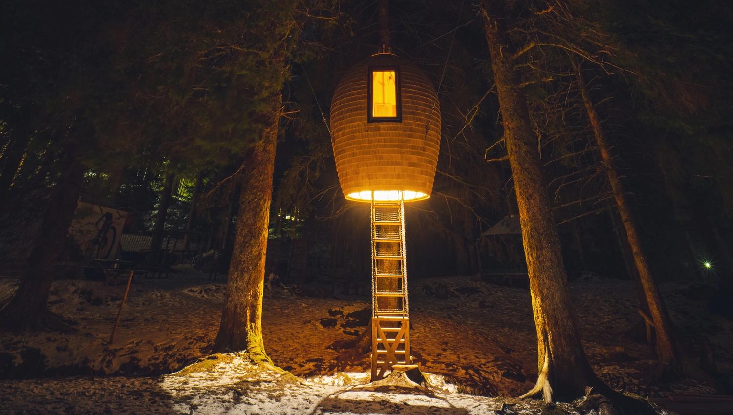 Unique accommodation at Mount Fløyen
