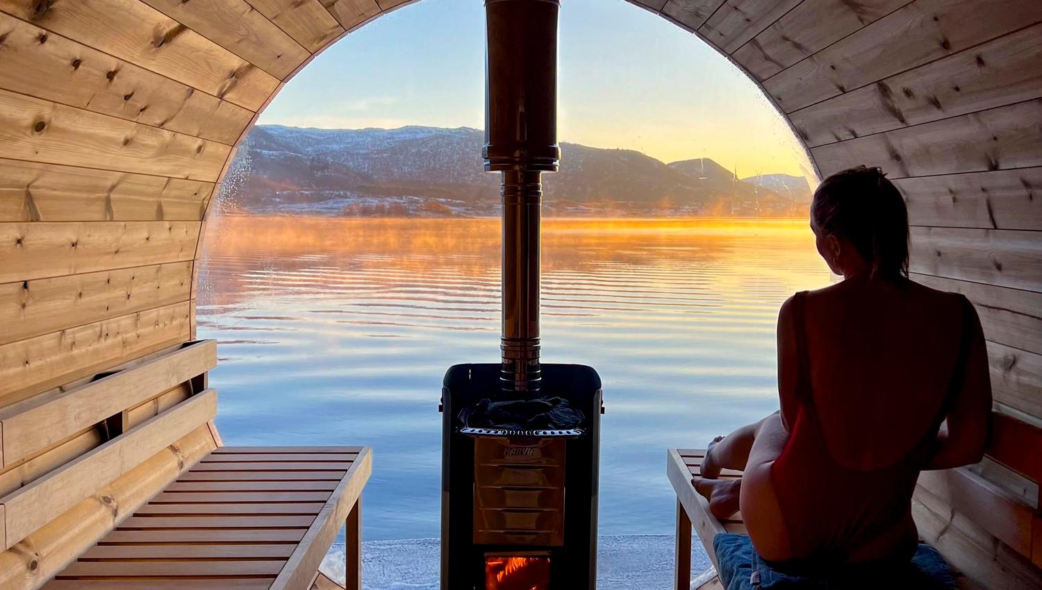 Vesterålen Apartment sauna