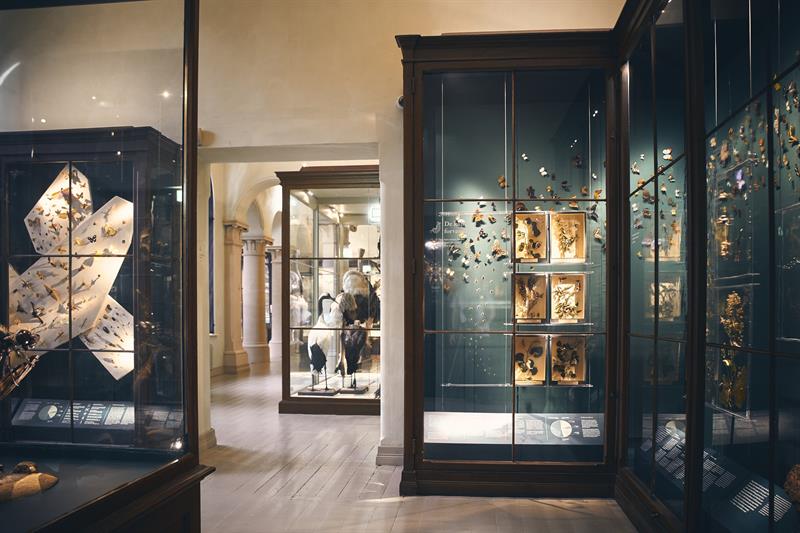 The University Museum of Bergen