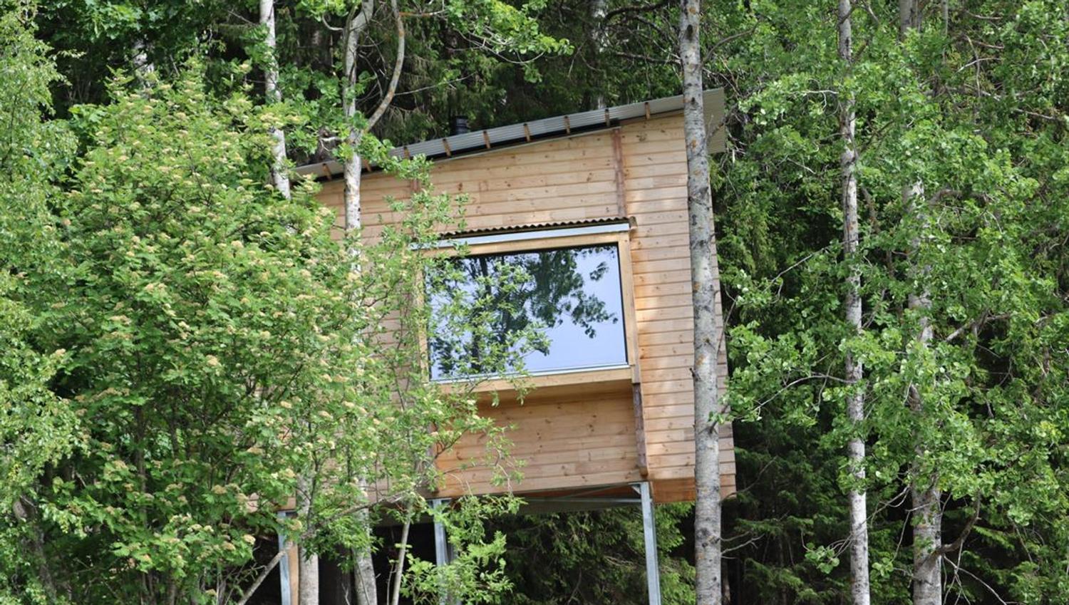 Small wooden cabin surrounded by green forest, with a large window reflecting the surroundings.