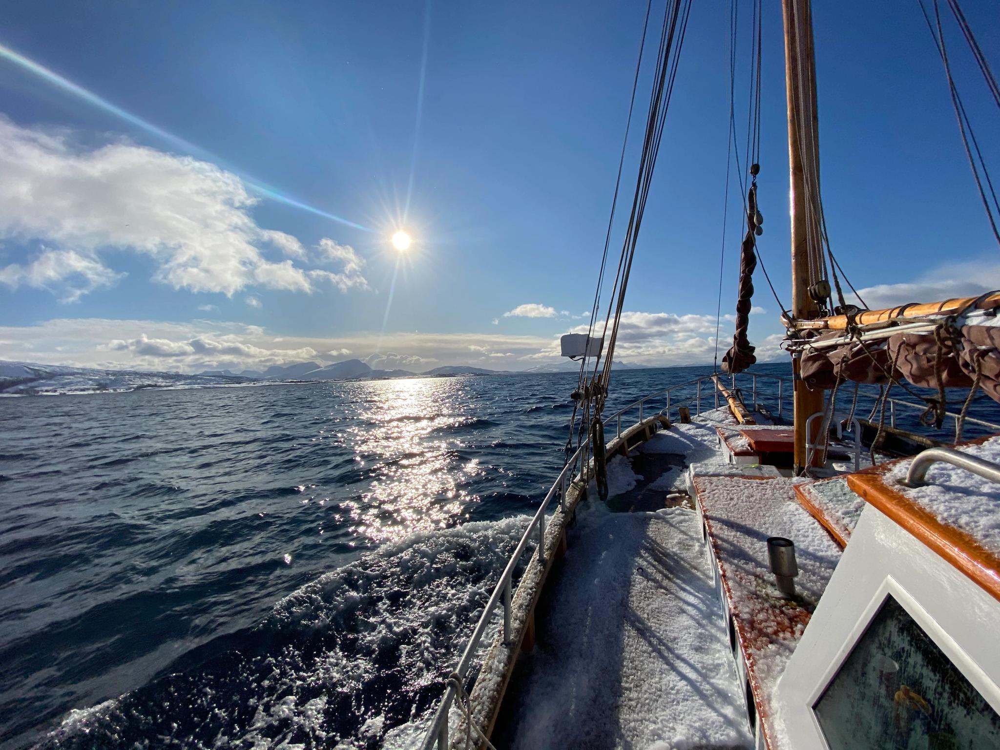 Take your family and friends on a fjord cruise from Balteskard, Grovfjord