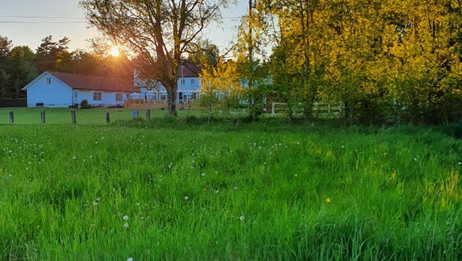 Høst på Hvaler Gjestgiveri