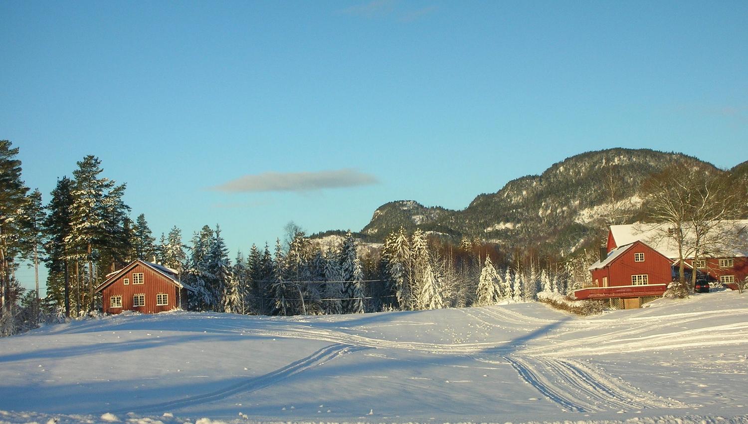 Fiskebekk, storhytter