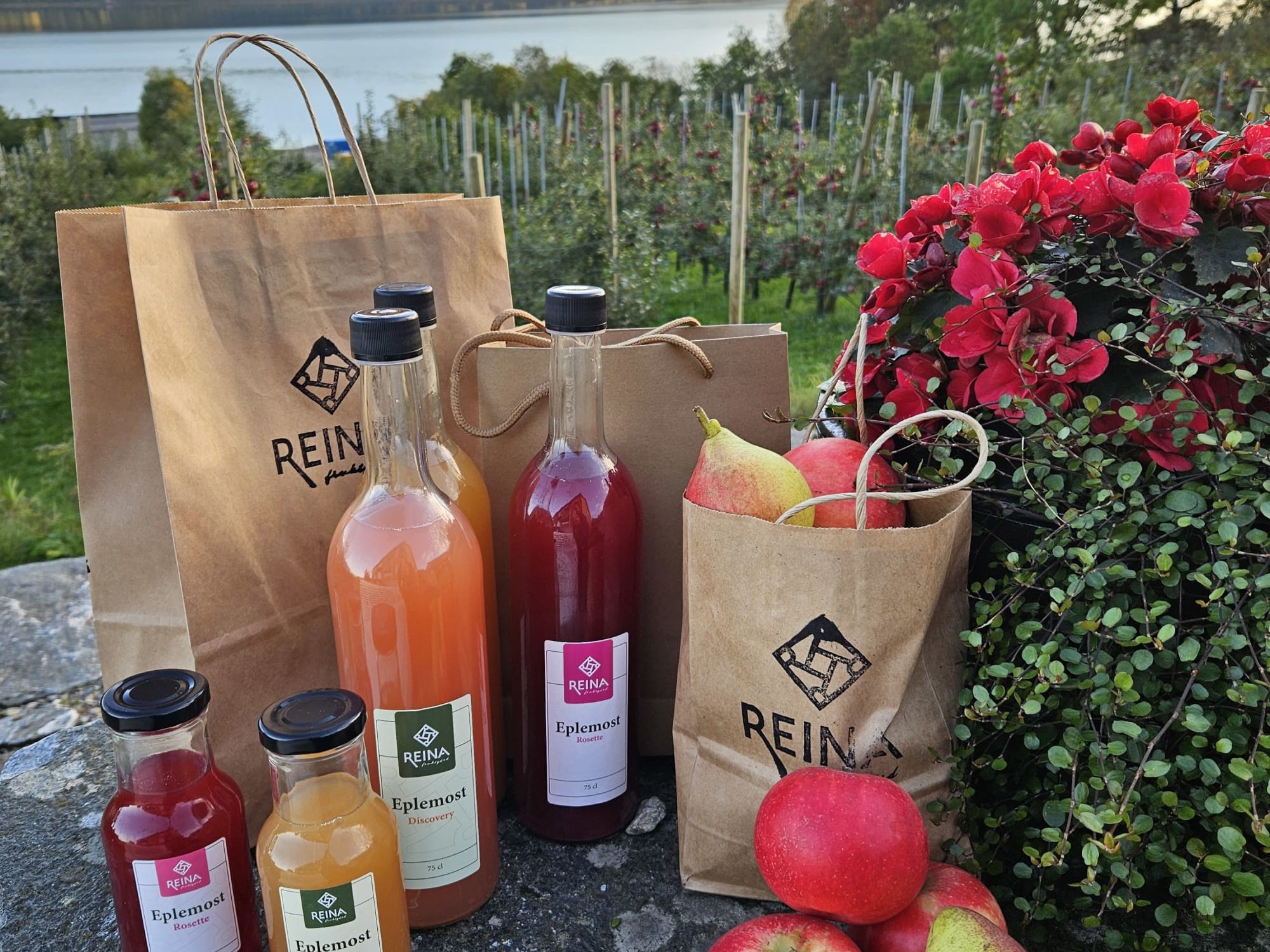 Reina Fruit farm