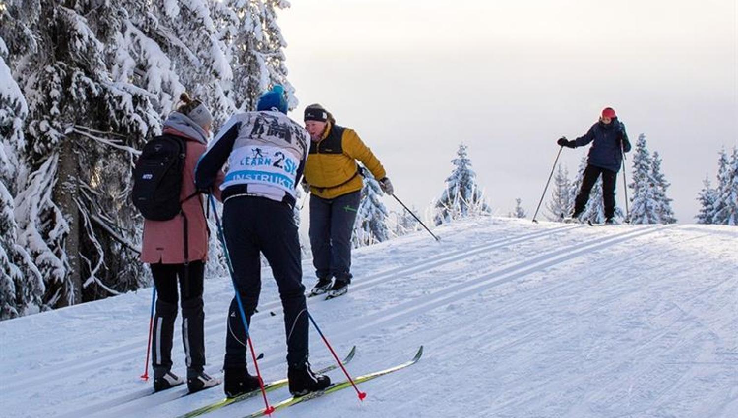 Cross-country skiers in the slope