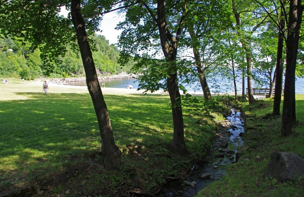 Sjøstrand - green plain and trees