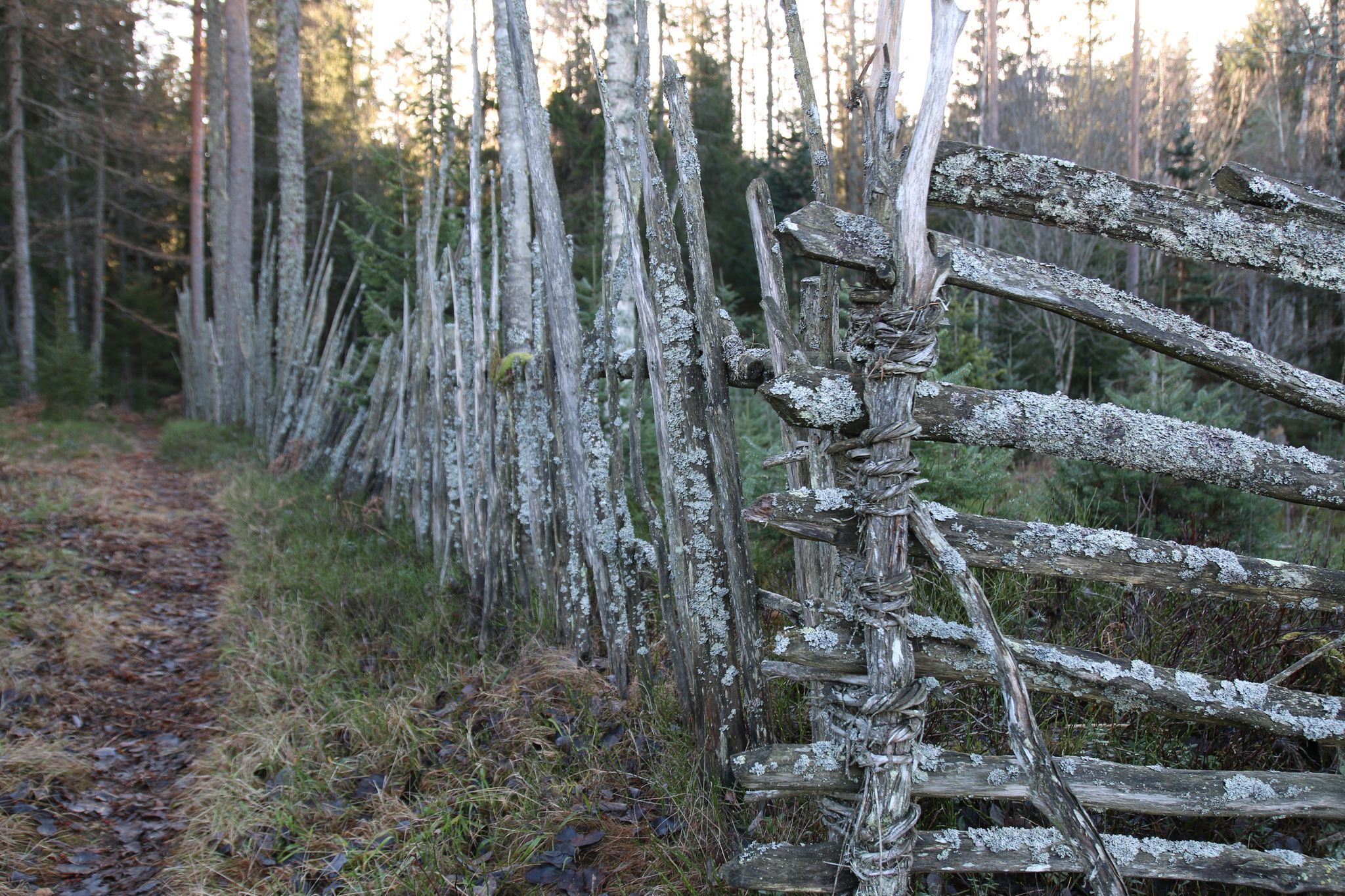 Gammel falleferdig skigard
