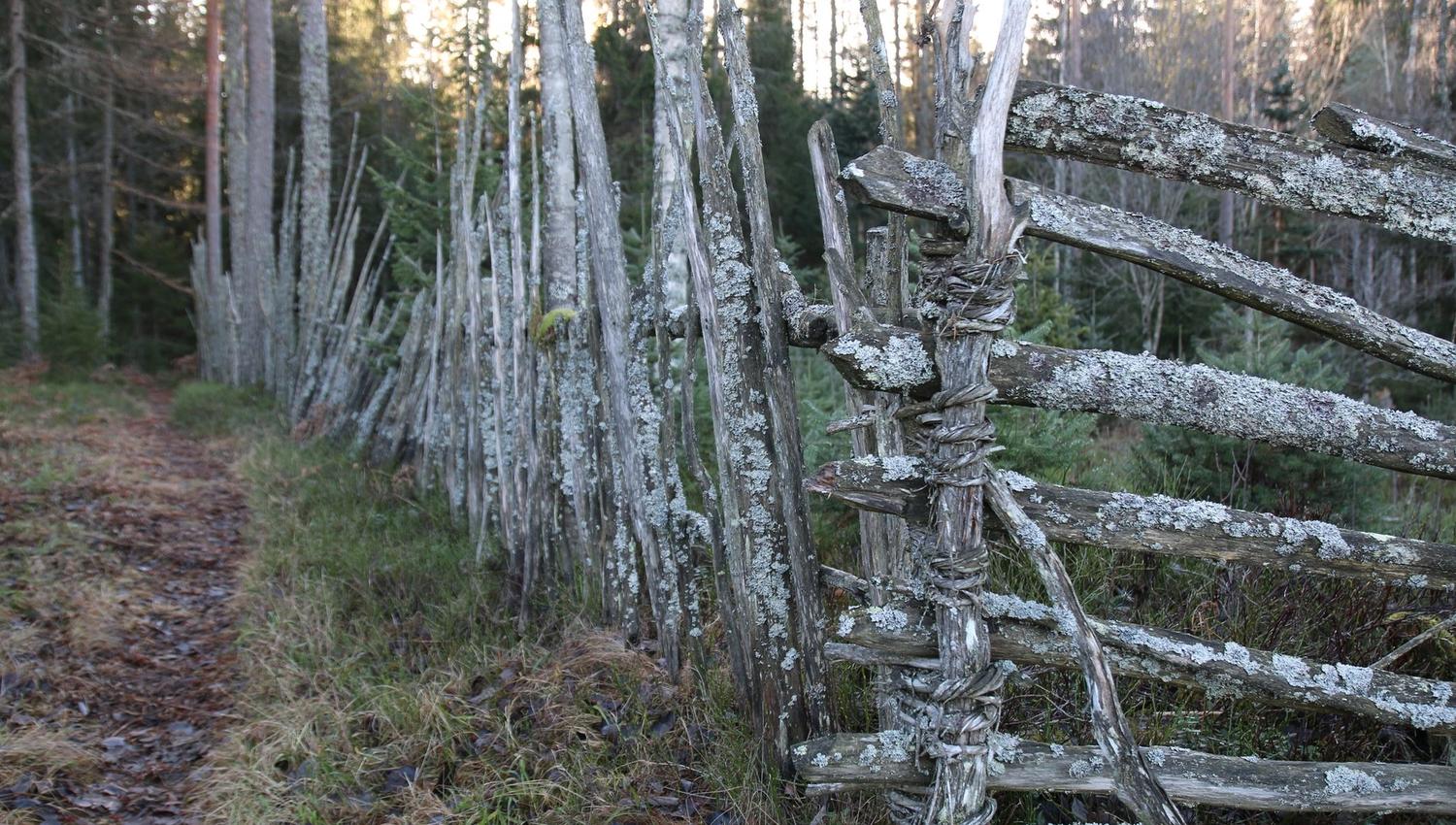 Gammel falleferdig skigard