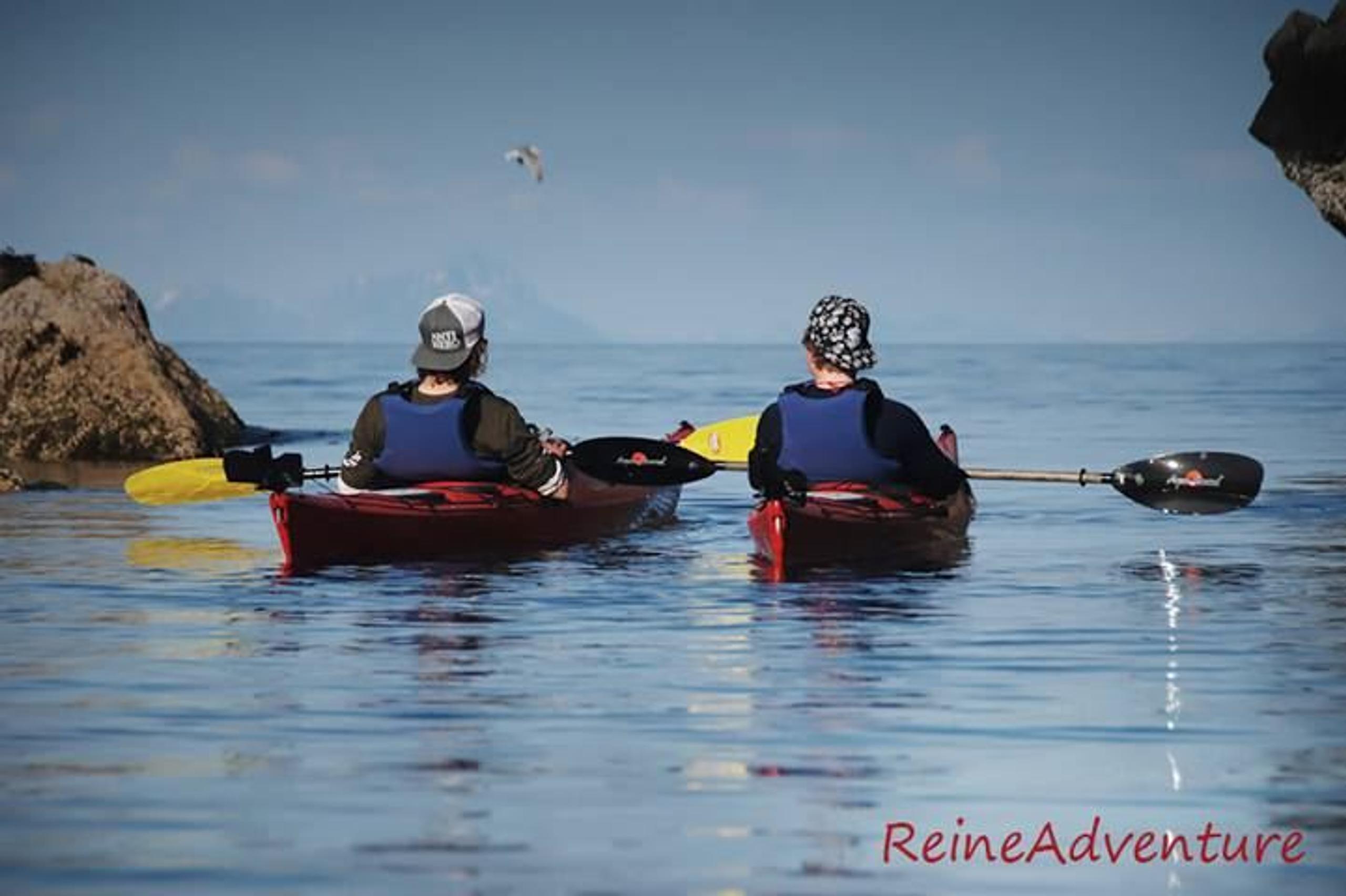 Kajakk tur på Reinefjorden - Reineadventure