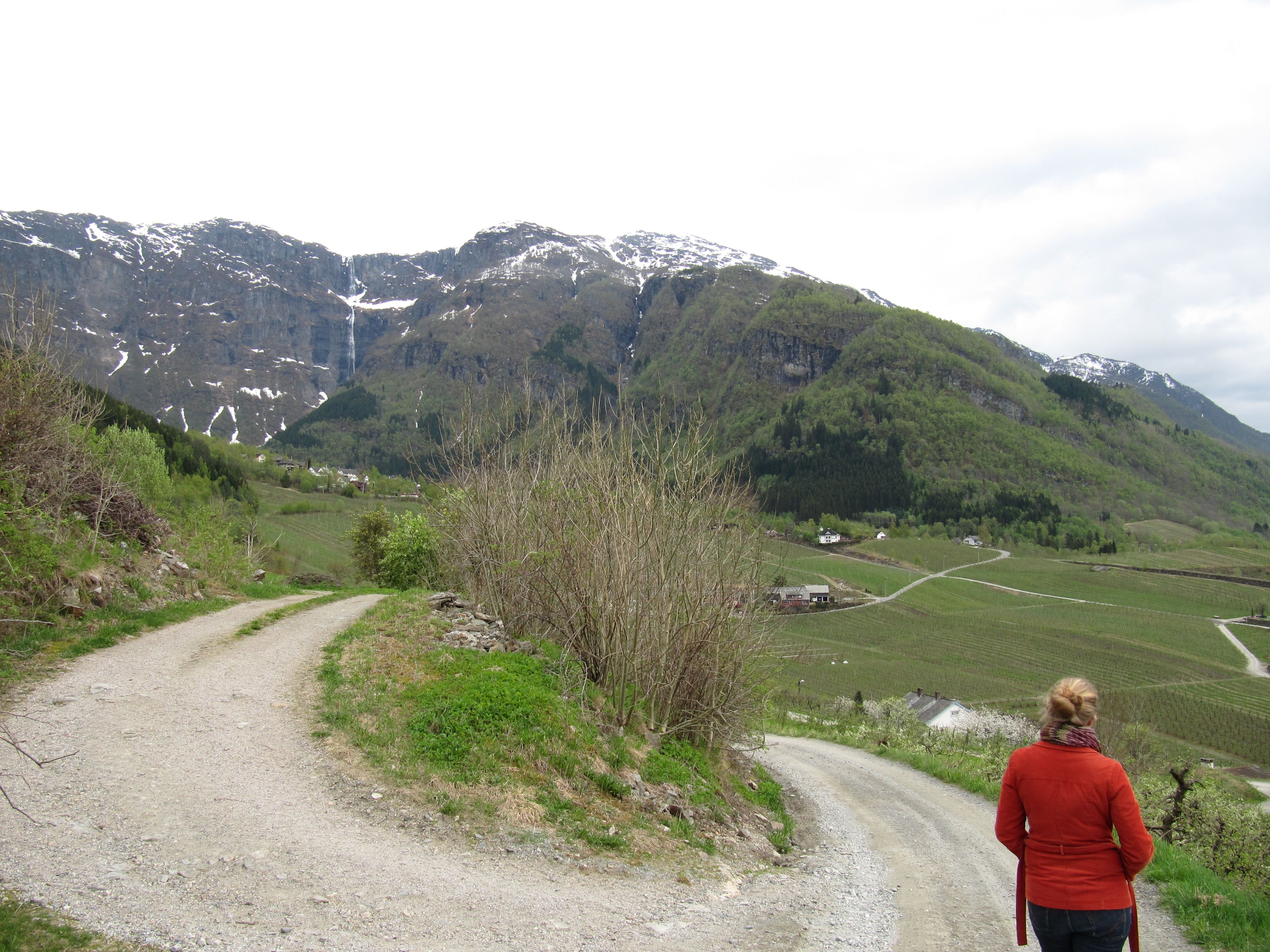 The Fruit Trail in Hardanger with views of the valley, farms and waterfalls.

