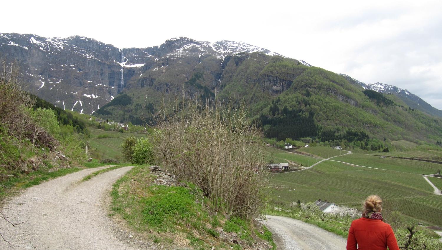 The Fruit Trail in Hardanger with views of the valley, farms and waterfalls.